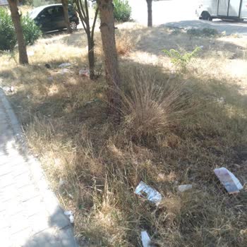 Buca Belediyesi Yıldız Mahallesi Çöp İçinde... Acil Yardım Bekliyorum!