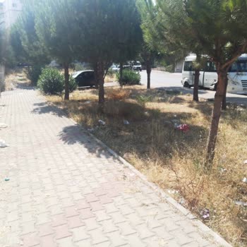 Buca Belediyesi Yıldız Mahallesi Çöp İçinde... Acil Yardım Bekliyorum!