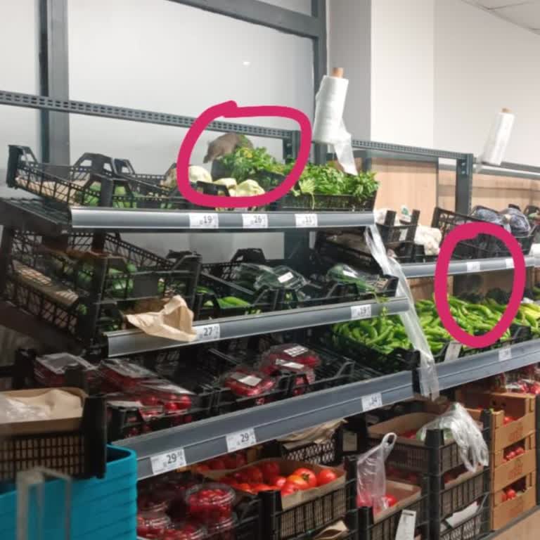 A101 Market Raflarda Fareler Geziyor