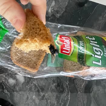 Untad Ekmek'de Pişmiş Sinek
