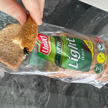 Untad Ekmek'de Pişmiş Sinek