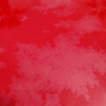 Infinity By Yelken Aquapark & Resorts İnfinity By Yelken Otel Pişmanlıktır