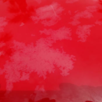 Infinity By Yelken Aquapark & Resorts İnfinity By Yelken Otel Pişmanlıktır