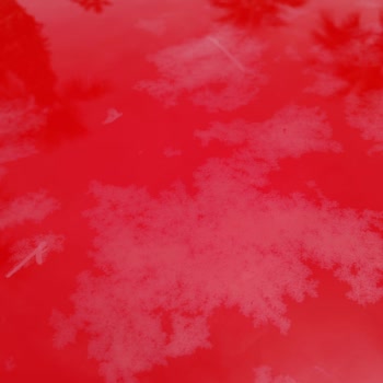 Infinity By Yelken Aquapark & Resorts İnfinity By Yelken Otel Pişmanlıktır