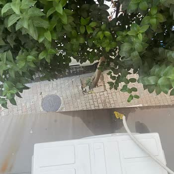 Arçelik Servis Çözümsüzlüğü Ve Pişmanlık