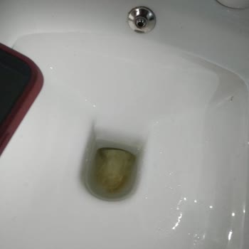 Serel Klozet Taşı Pişmanlığı