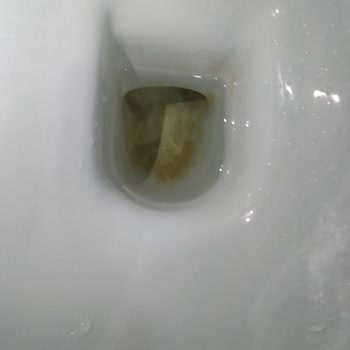 Serel Klozet Taşı Pişmanlığı