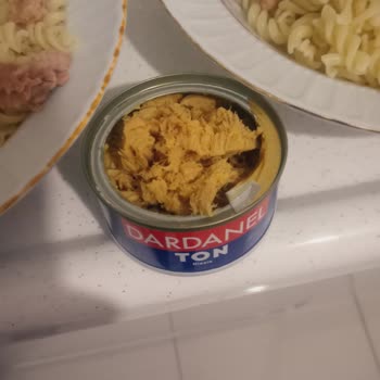Dardanel Ton Balığının Rengi Değişmiş