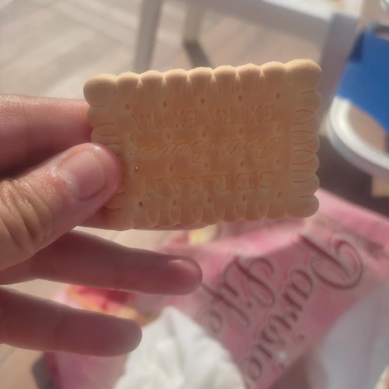 Est Tur Sahip Çıkmaması