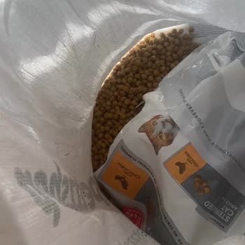 İdefix Müşteri Hizmetleri Oyalıyor