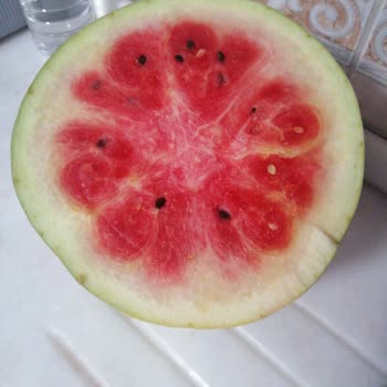 Bildirici Bildirimi Market Karpuzlar