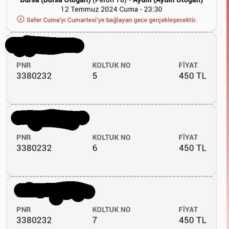 İstanbul Kalesi Seyahat Böcek Sorunu