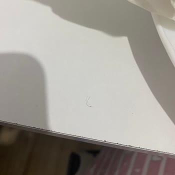 Burger King Siparişimde Gecikme Ve Hijyen Sorunu