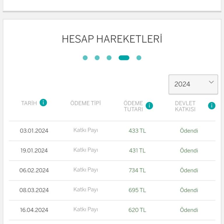 Garanti BES Devlet Katkısı Yatmıyor.