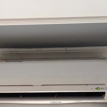 Ve Side Royal Paradise Otel Memnuniyetsizliği