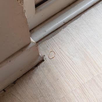 Ve Side Royal Paradise Otel Memnuniyetsizliği