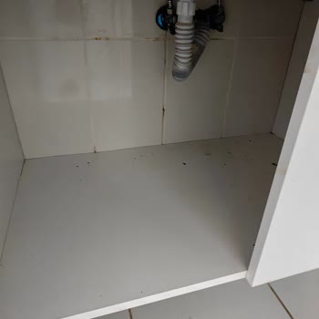 Ve Side Royal Paradise Otel Memnuniyetsizliği