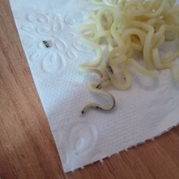 indomie Noodle Mden Küf Gibi Bir Şey Çıktı