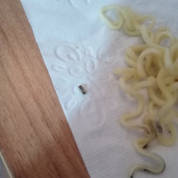 indomie Noodle Mden Küf Gibi Bir Şey Çıktı