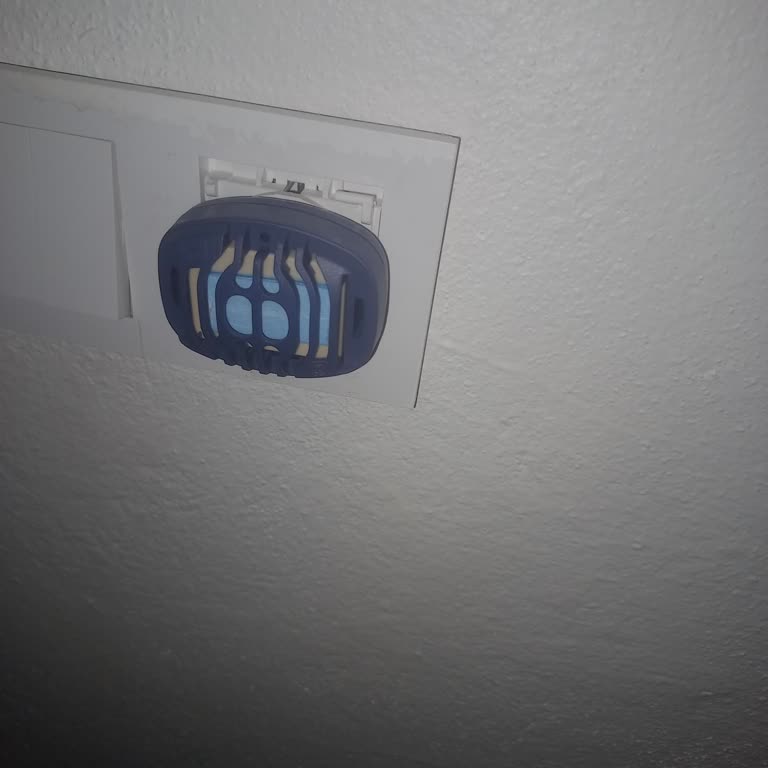 Raid Elektro Mat Isınması