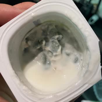Şok Marketler Şok Marketten Alınmış Tarihi Geçmiş Küflü Yoğurt