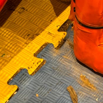 Gülyurt Pasta & Bistro Çocuk Oyun Bölümü Hijyen Sorunu!