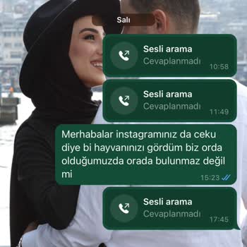 TÜRSAB Sahte Belge Bungalov