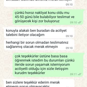 Horoz Nakliyat Klasiği Hizmet Sıfır