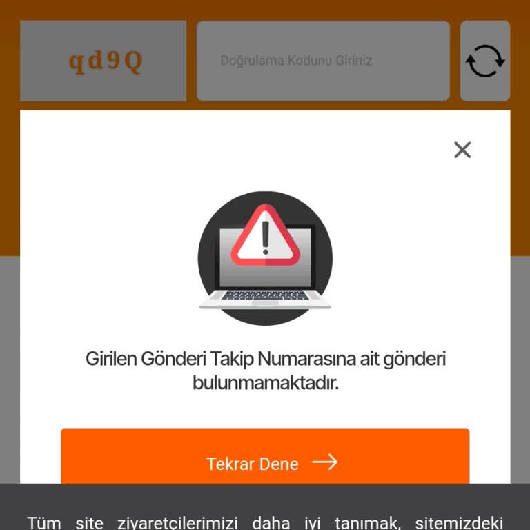 Sosyopix Siparişimin Verildiği Kargo Sayfası Gönderi Bulunamadı Diyor