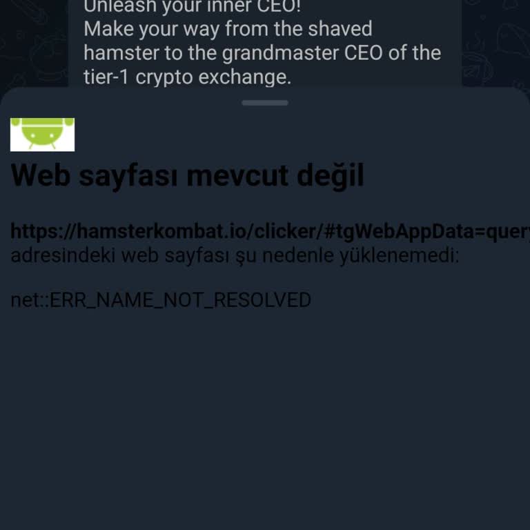 Hamster Kombat Rahatsız Edici Hata