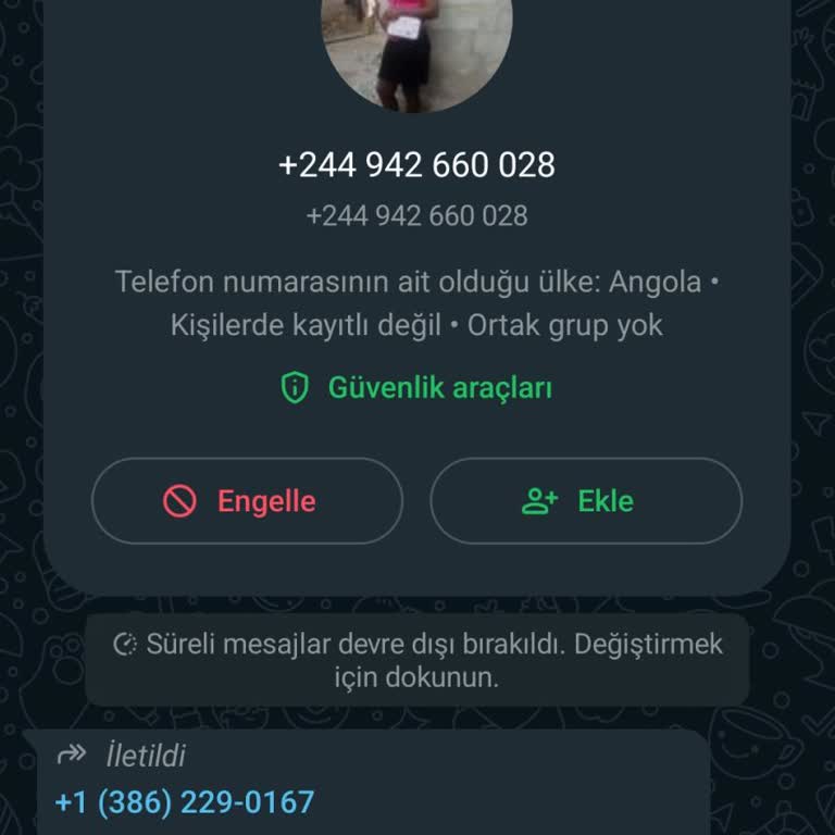 WhatsApp +244 942 660 028 Numaralı Telefondan Telefonuma Gelen WhatsApp Mesajı