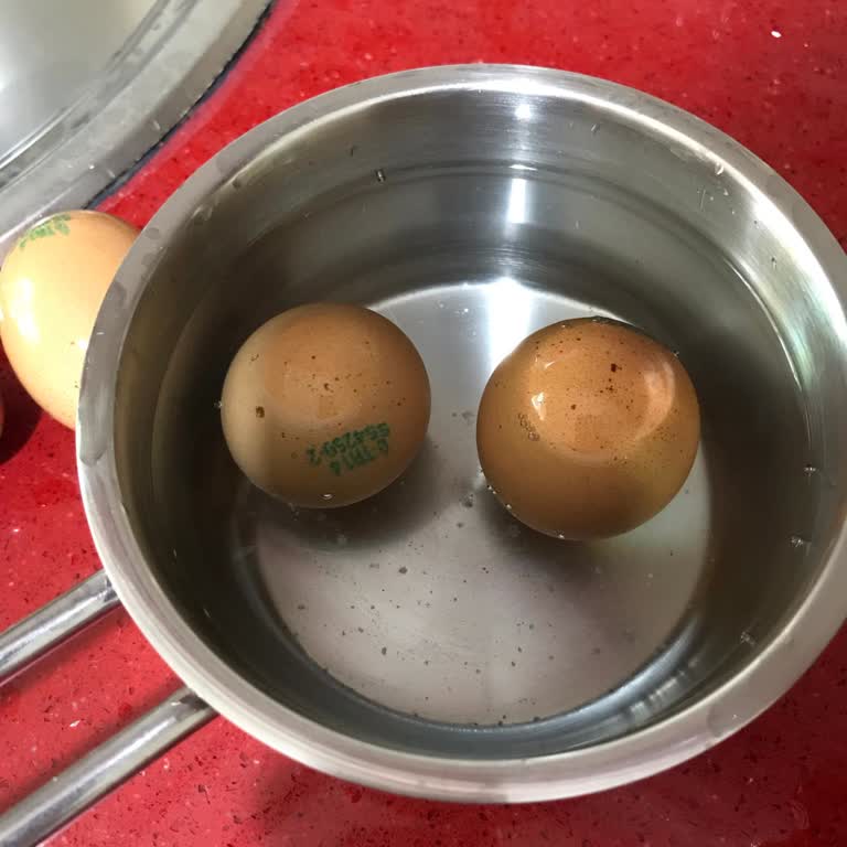 Hobby Life Organik Bayat Yumurta