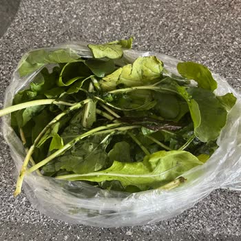 Migros Marketin Gönderdiği Yeşillikler