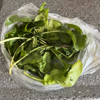 Migros Marketin Gönderdiği Yeşillikler