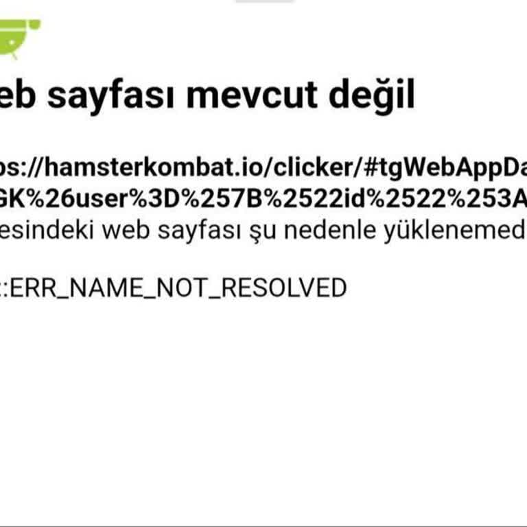 Hamster Kombat Giremiyorum Neden Sorun Ne
