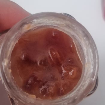 Pol's Gurme Reçelleri 2 Gün İçinde Şekerlendi.