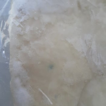 Şok Marketler Küflü Tamköy Yufka