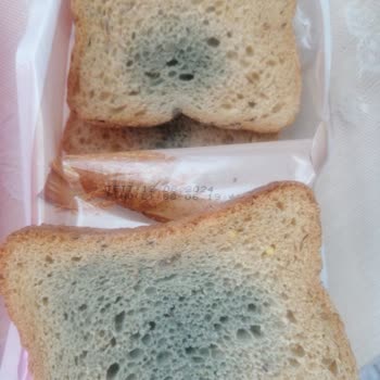 Nimet Gıda Çok Tahıllı Ekmek Küflenme Sorunu
