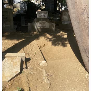 İBB - İstanbul Büyükşehir Belediyesi Feriköy Mezarlığı Hakkında Şikayet