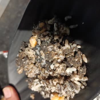 Yayla Bakliyat Hazır Tavuk Pilav Aldım İçi Kurtlanmış Ve Küflü Çıktı