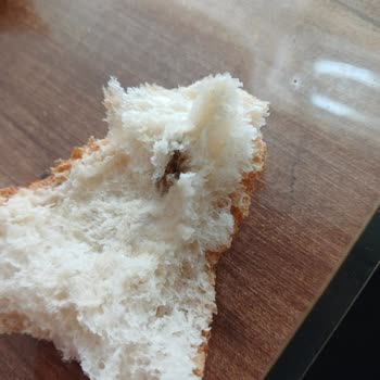 Ubaylar Gıda Ubaylar Ekmeğinde Sinek Çıktı