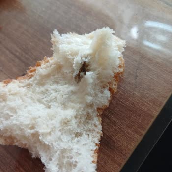 Ubaylar Gıda Ubaylar Ekmeğinde Sinek Çıktı