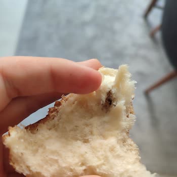 Ubaylar Gıda Ubaylar Ekmeğinde Sinek Çıktı