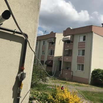 Sepaş İnsan Ölmesini Bekliyor