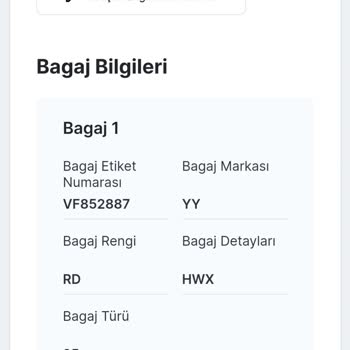 Bagaj Kaybı Ve Mağduriyet: Ajet'in Hatası