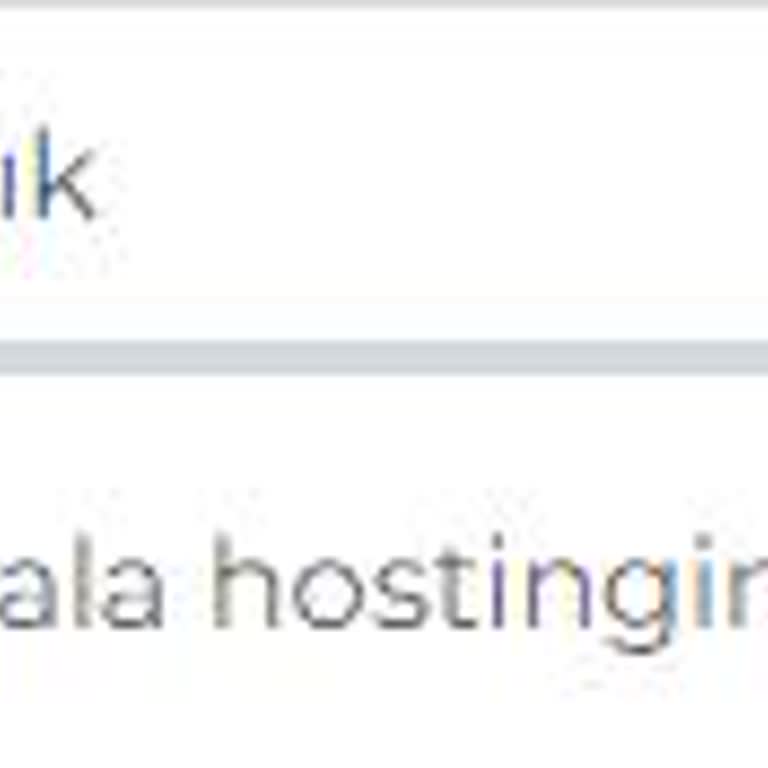 Turkishost Destek İletişim Sorunu