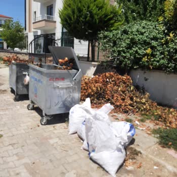 Yalova Belediyesi Temizlik İşleri Tatilde Herhalde