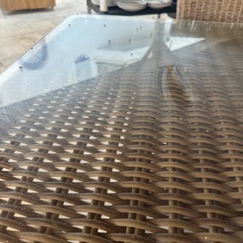 Marble Arch Datça Otelde Kara Sinek Sorunu