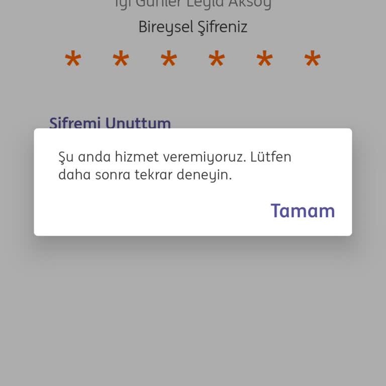 ING Uygulaması Neden Açılmıyor