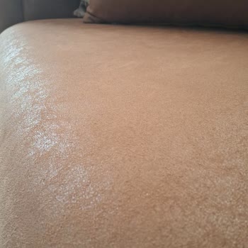 Bellona Çözüm Bulunsun Lütfen